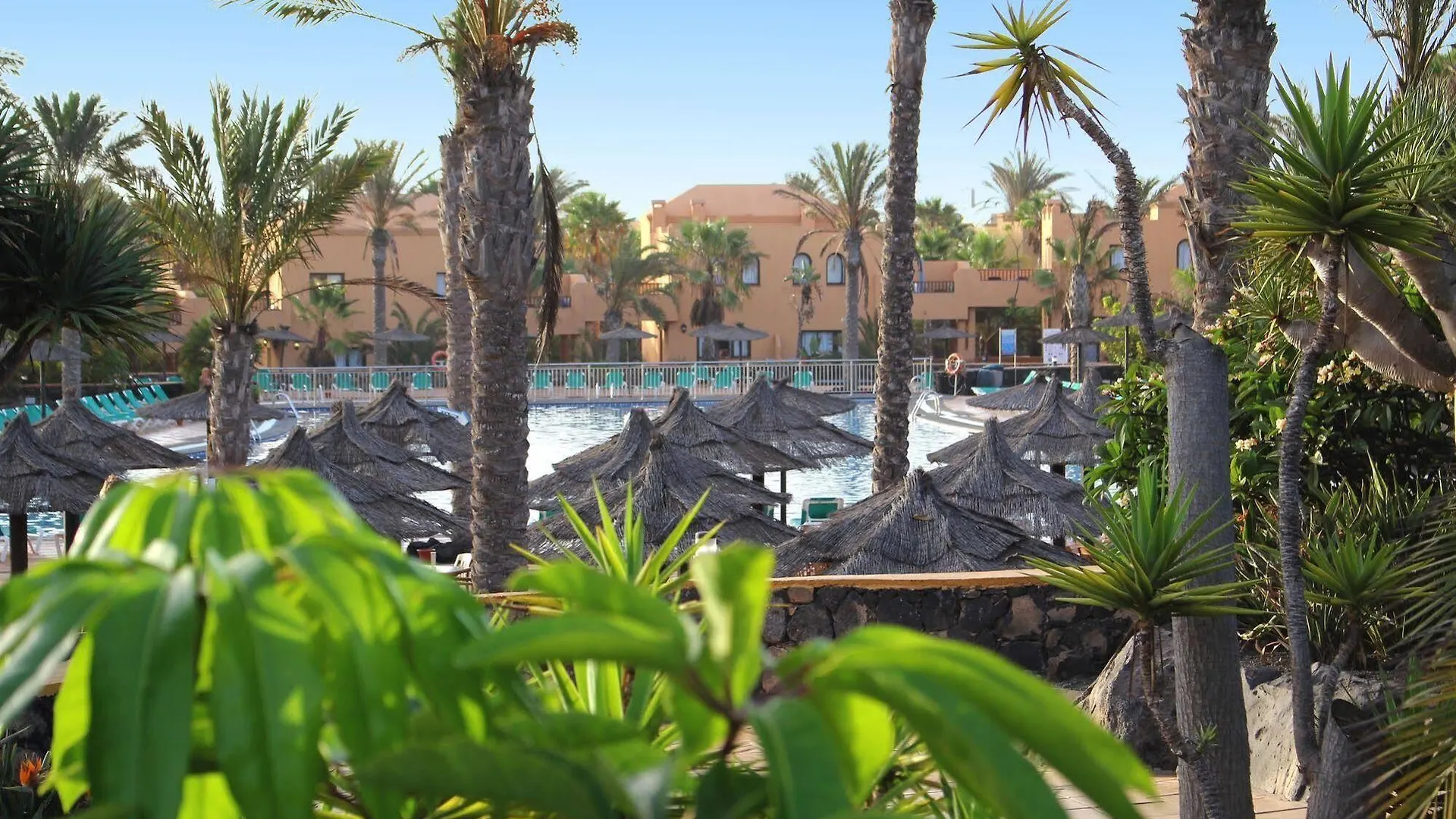 House Oasis Corralejo Villa Spain